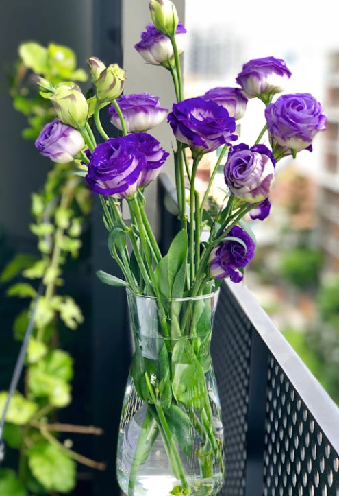 Purple Roses