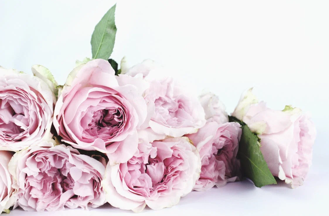 Pink Roses Bouquet