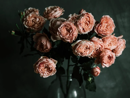 Pink Roses Bouquet